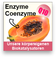 Enzyme und Coenzyme